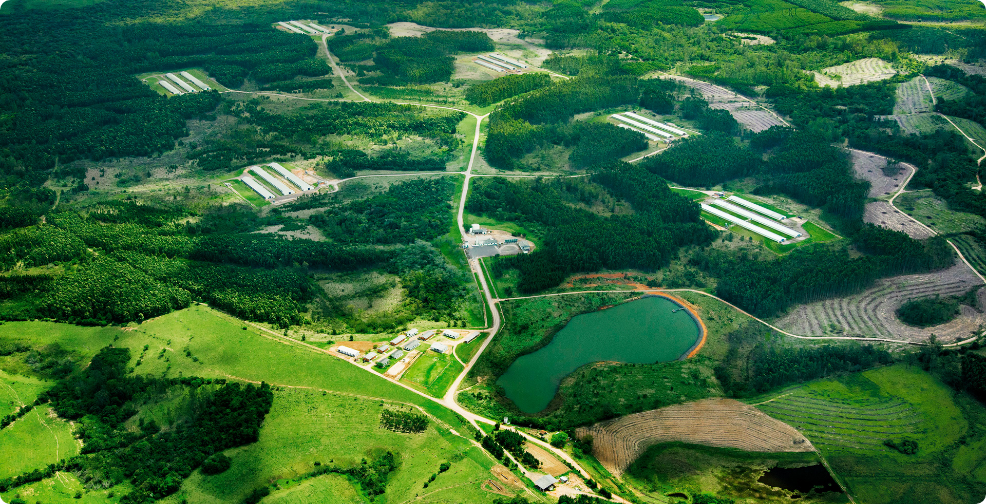 Foto horizontal, com vista aérea e distante da estrutura de granja de aves no interior de Triunfo, com um lago, onde predomina a cor verde da vegetação.